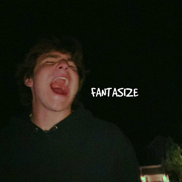 Fantasize cover art