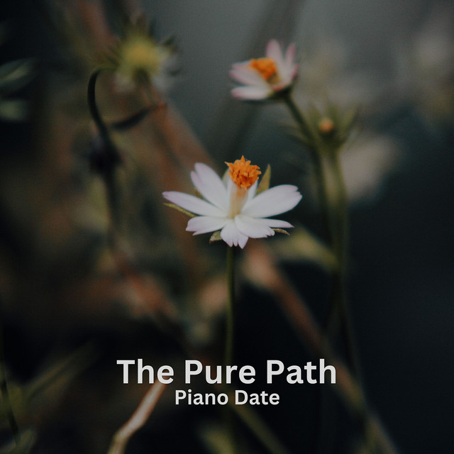 Обкладинка: The Pure Path — Piano Date