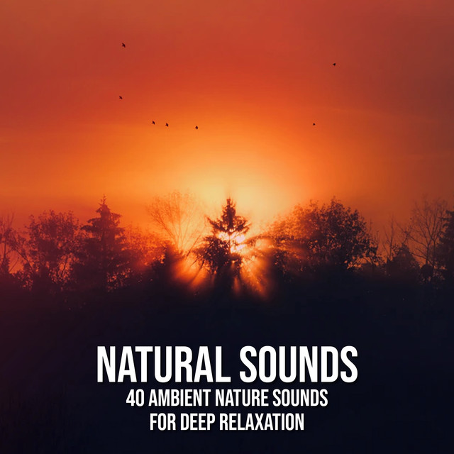 Natural Sounds: 40 Ambient Nature Sounds for Deep Relaxation - Album by ...