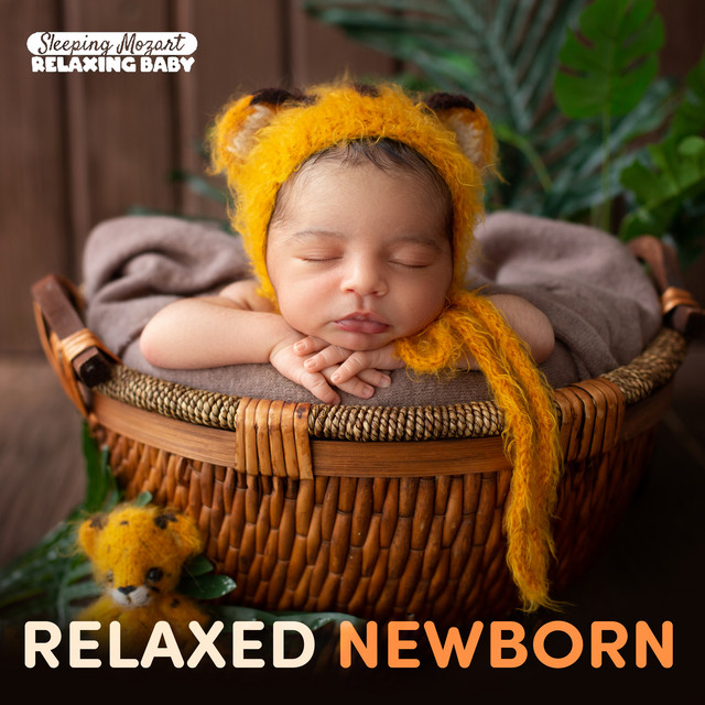 Relaxed Newborn cover art