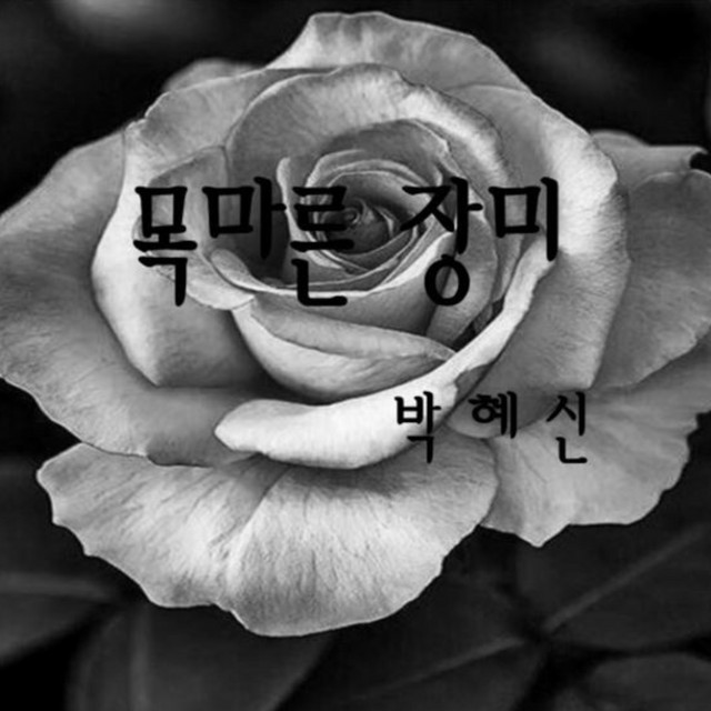 A Thirsty Rose(원제.연정)