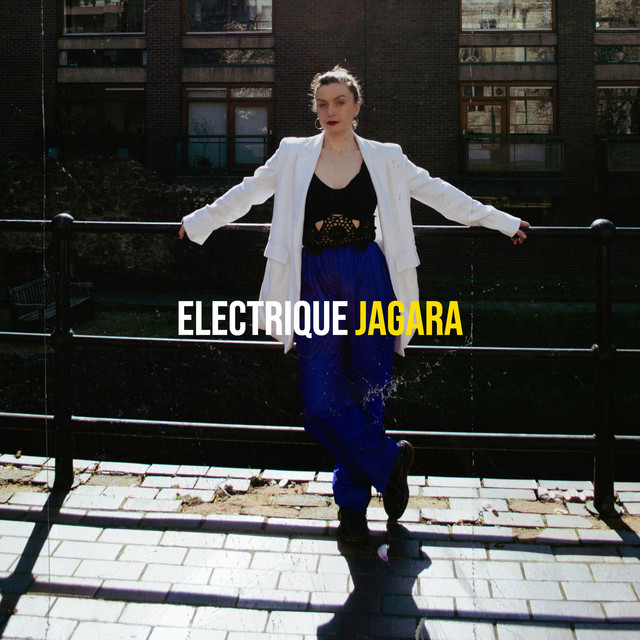 Electrique cover