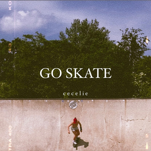 Go skate cover art
