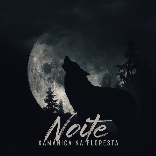 Noite Xamânica na Floresta cover art