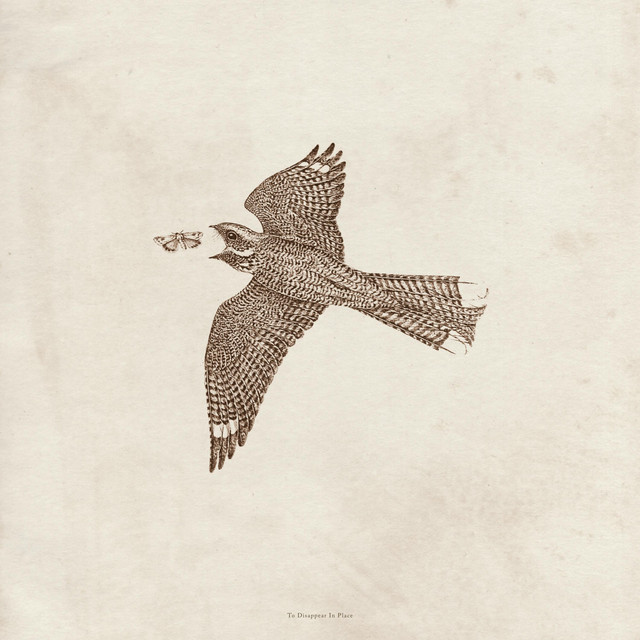 To Disappear in Place cover art