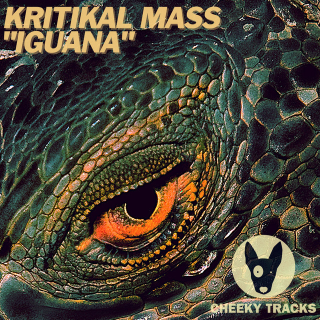 Iguana cover art