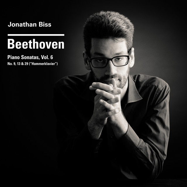 Beethoven Piano Sonatas Nos. 9, 13 & 29 "Hammerklavier", Vol. 6 cover art