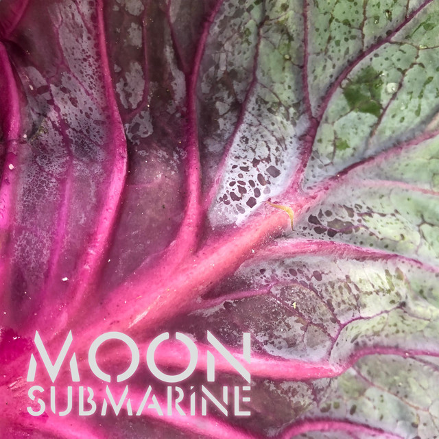 Rapture - Single by Moon Submarine | Spotify