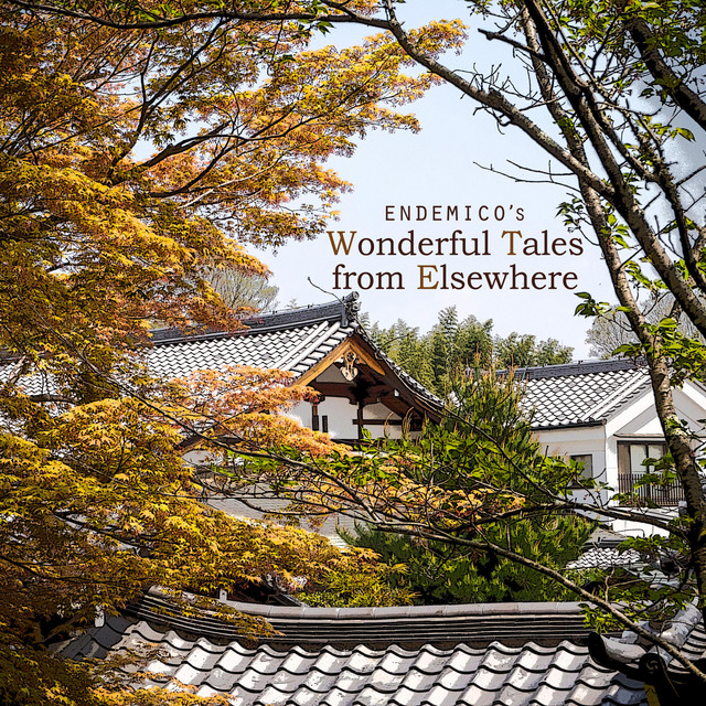 Wonderful Tales from Elsewhere cover art