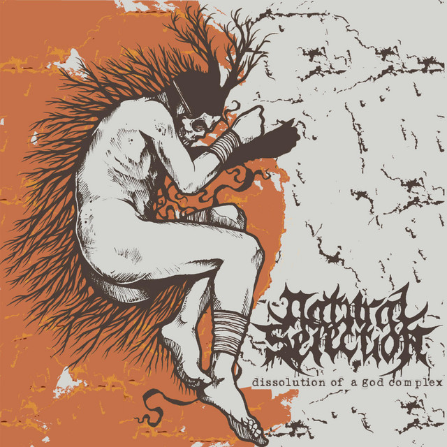 Dissolution of a God Complex cover art