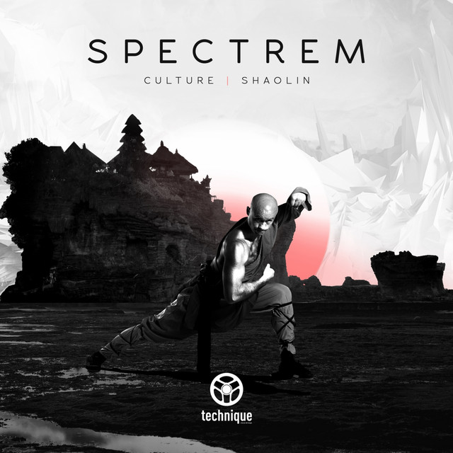 Shaolin album art