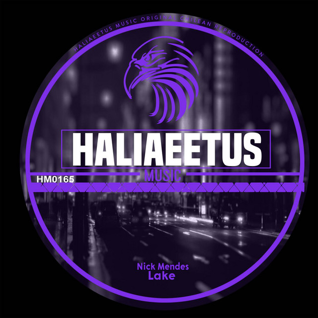 Lake album art