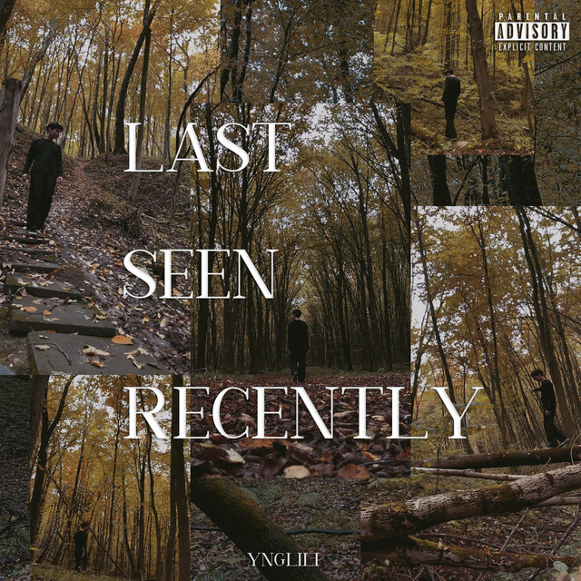 Обкладинка yngLili — Last Seen Recently