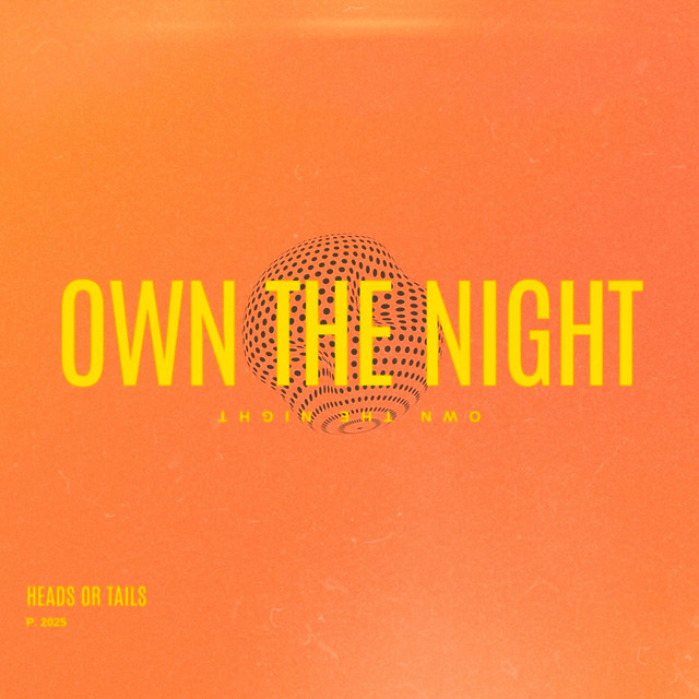 Own The Night