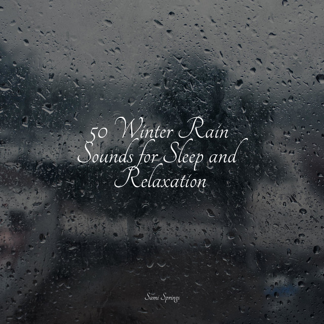 50 Winter Rain Sounds for Sleep and Relaxation - Album by Deep Sleep FX ...