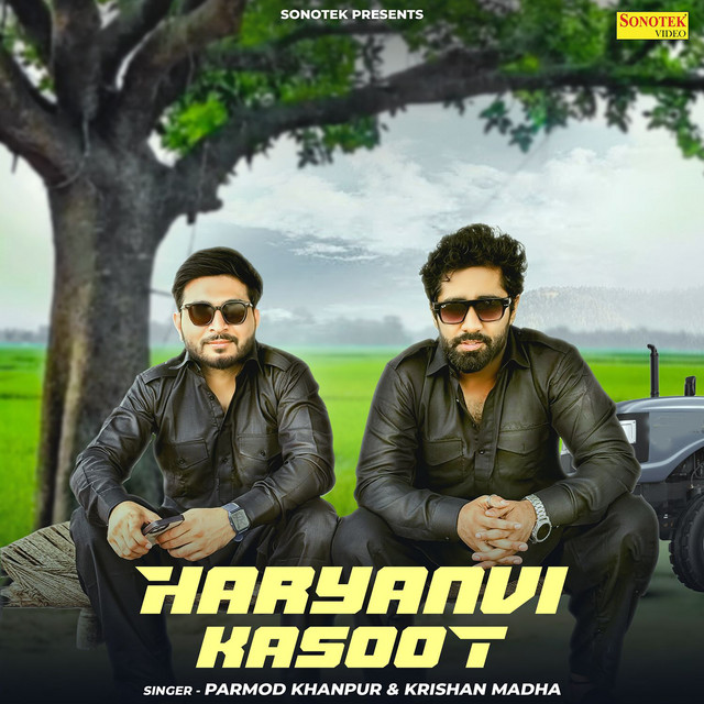 Haryanvi Kasoot album image