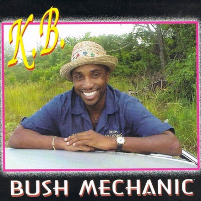 Bush Mechanic cover art