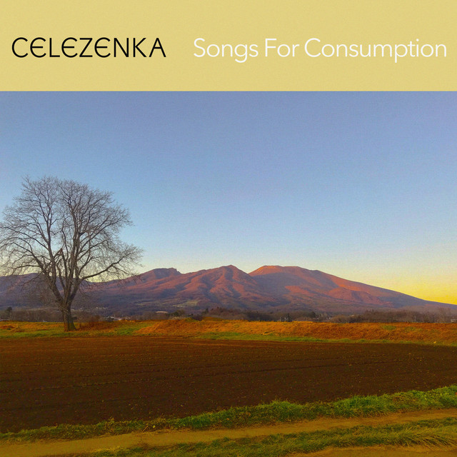 Songs For Consumption cover