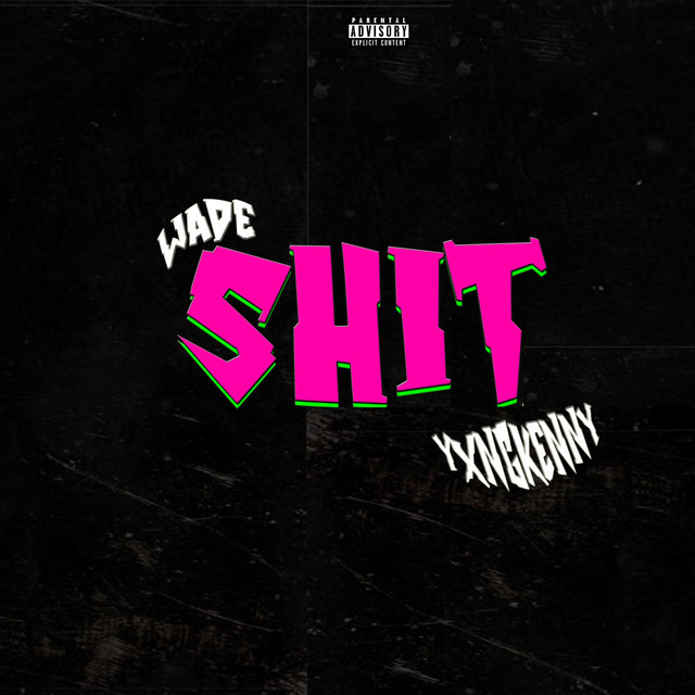 Shit cover art