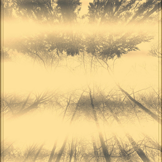 early-morning-walk-single-by-arti-808-spotify