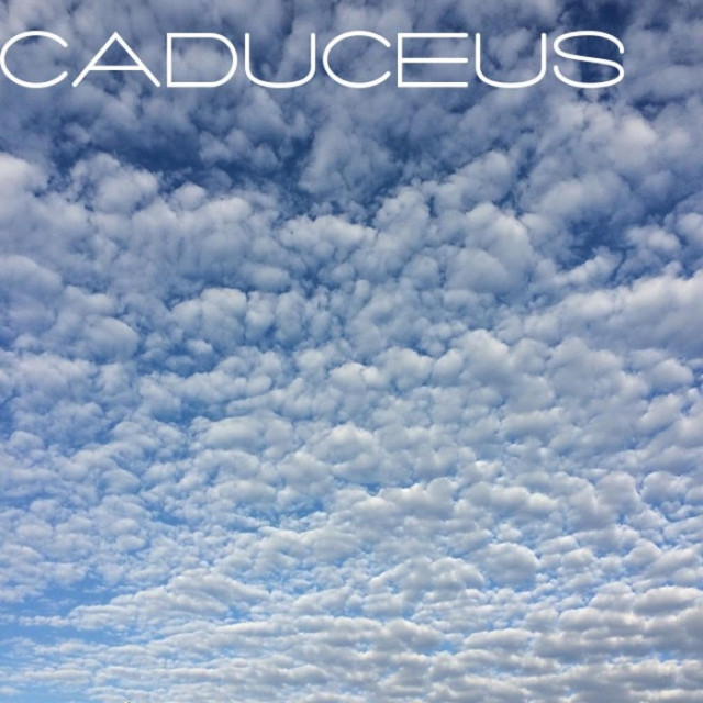 Caduceus Photo