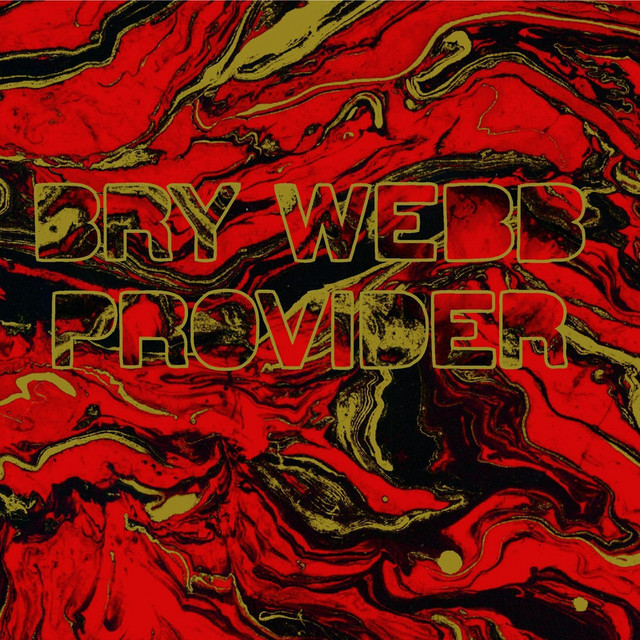 Provider cover art