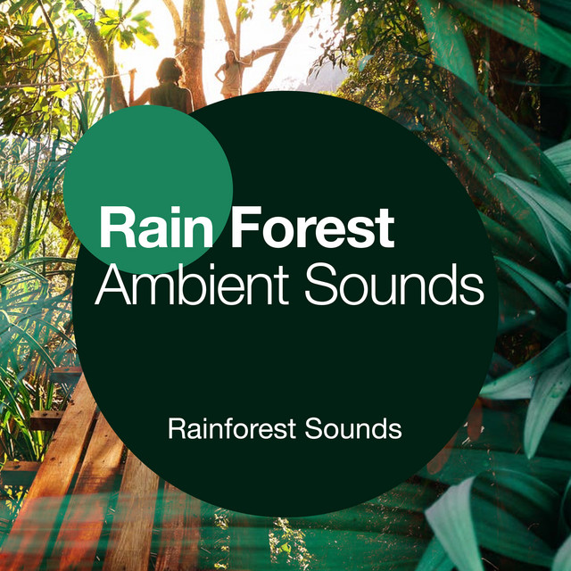 Rain Forest Ambient Sounds - Album by Rainforest Sounds | Spotify