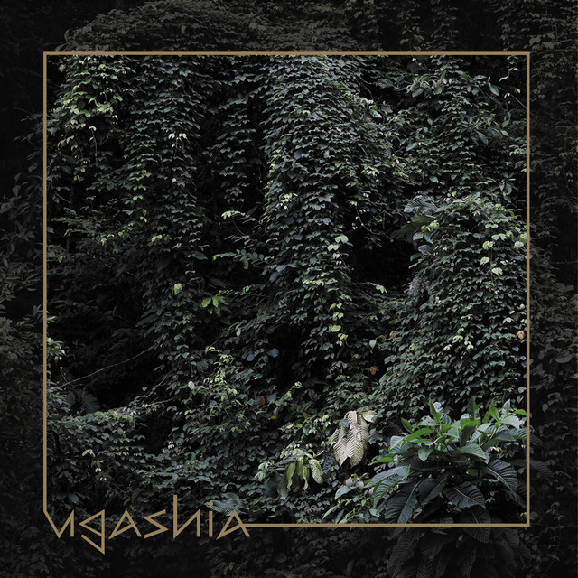 Ugashia cover art