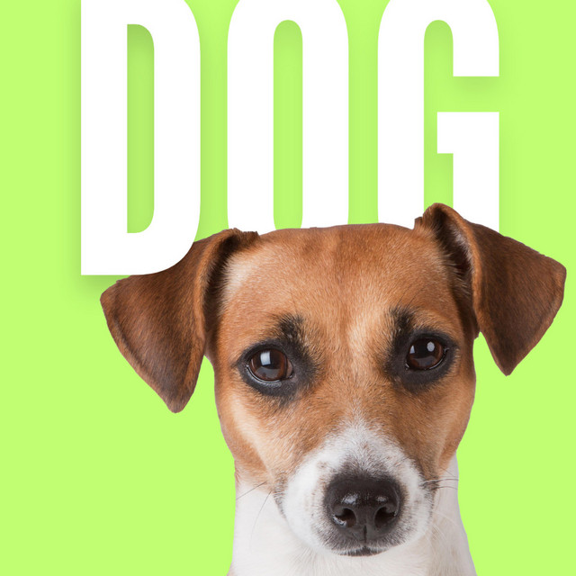 Jakob Welik – DOG (Rambo EDITION)