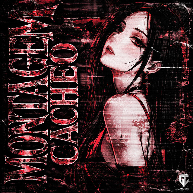Montagem Cacheo