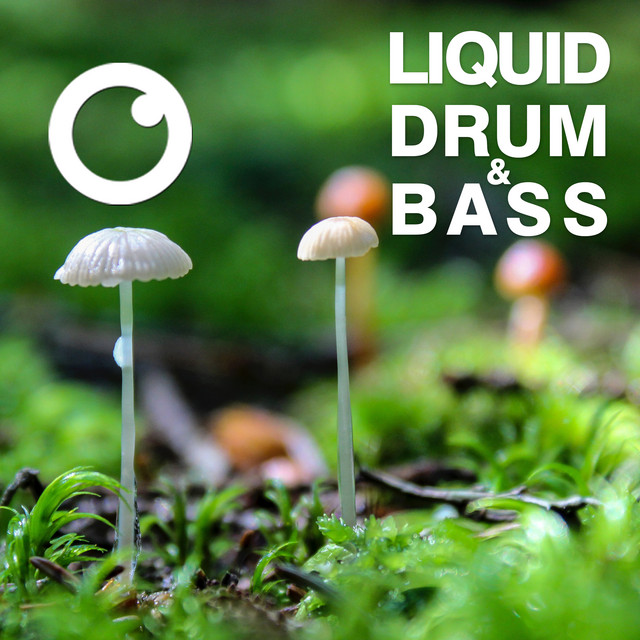 Liquid Drum & Bass Sessions 2020 Vol 36 artwork