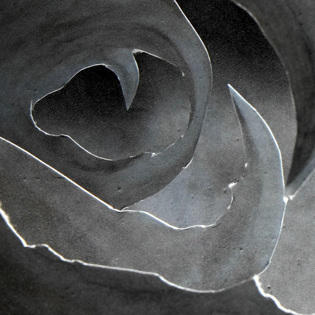 Asymmetry Photo