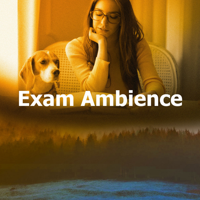 Exam Ambience cover art