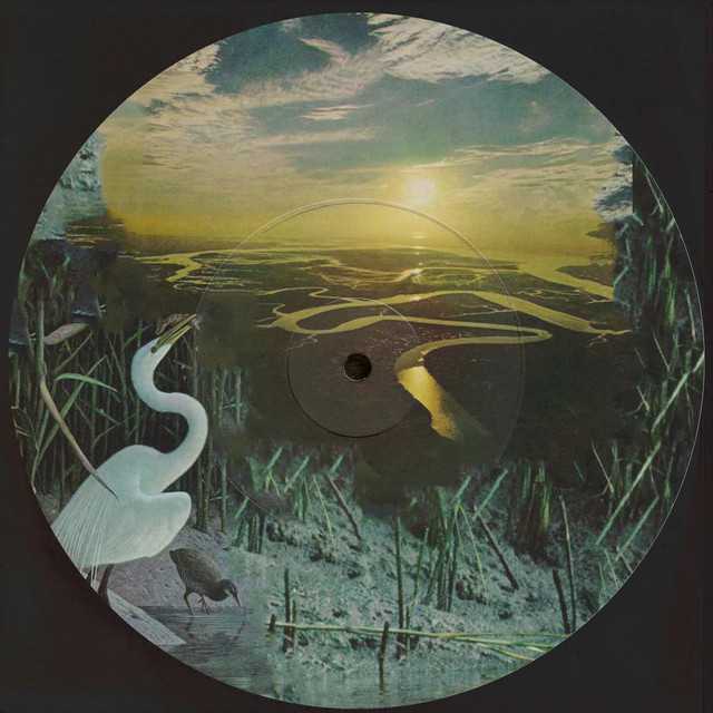 The Sundrenched Lofi Guitar Ensemble, Vol. 1 cover art