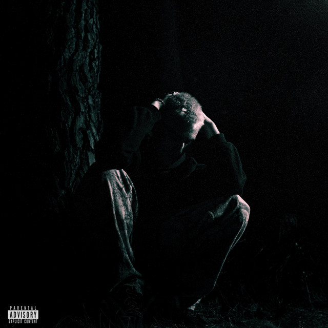 Newcomer cover art