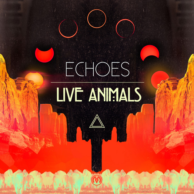 Echoes cover