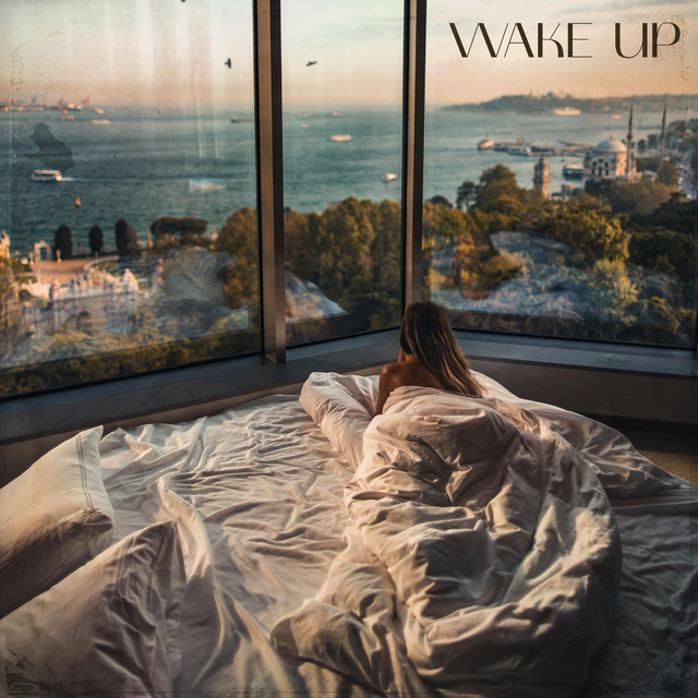 Обкладинка: Wake Up — Skydan