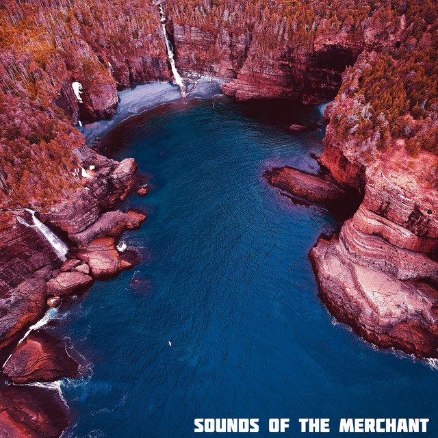 The Beat Merchant