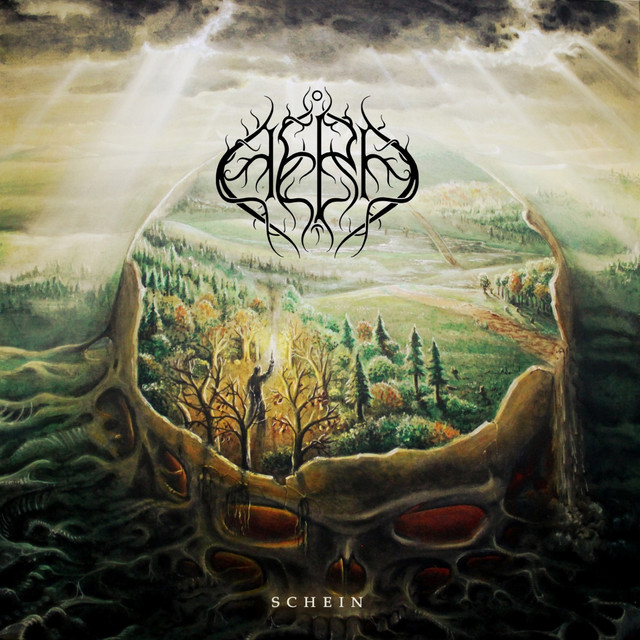 Schein cover art