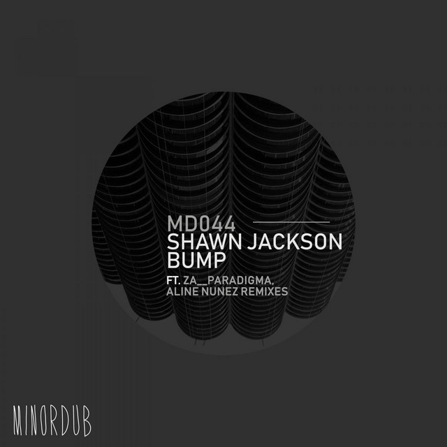 BUMP - Za__Paradigma remix album art
