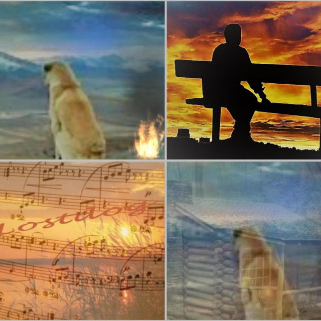 Lostdog cover