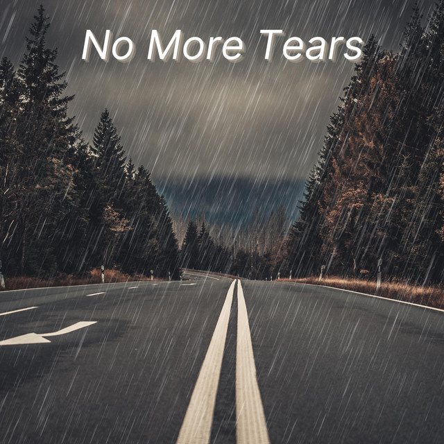 No More Tears cover art