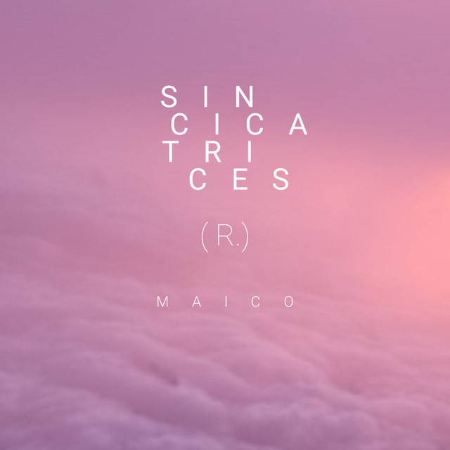 SIN CICATRICES (R) cover