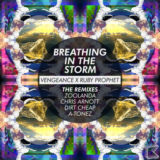 Breathing in the Storm cover art