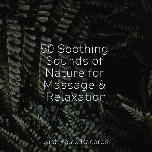 50 Soothing Sounds of Nature for Massage & Relaxation - Album by Reiki ...
