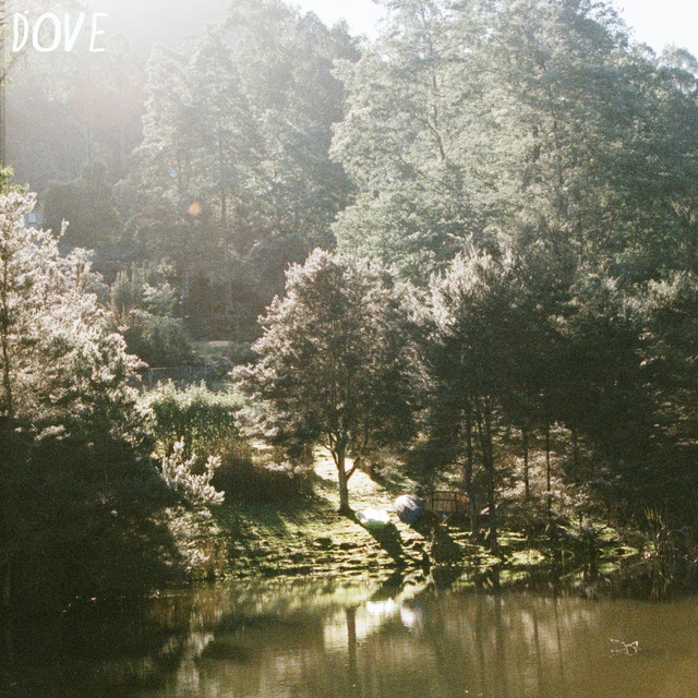 Dove cover