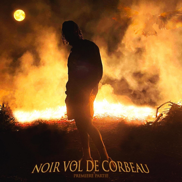 Noir vol de corbeau cover art