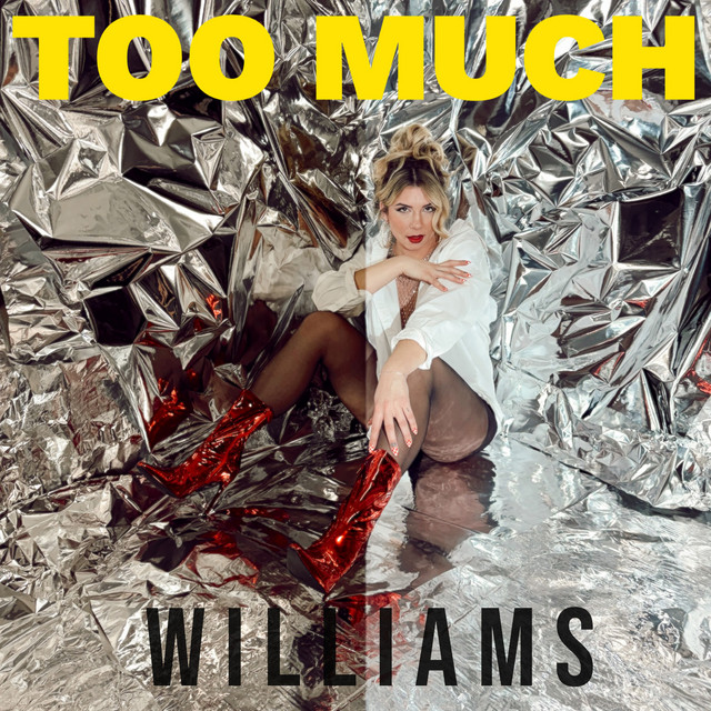 Too Much cover art