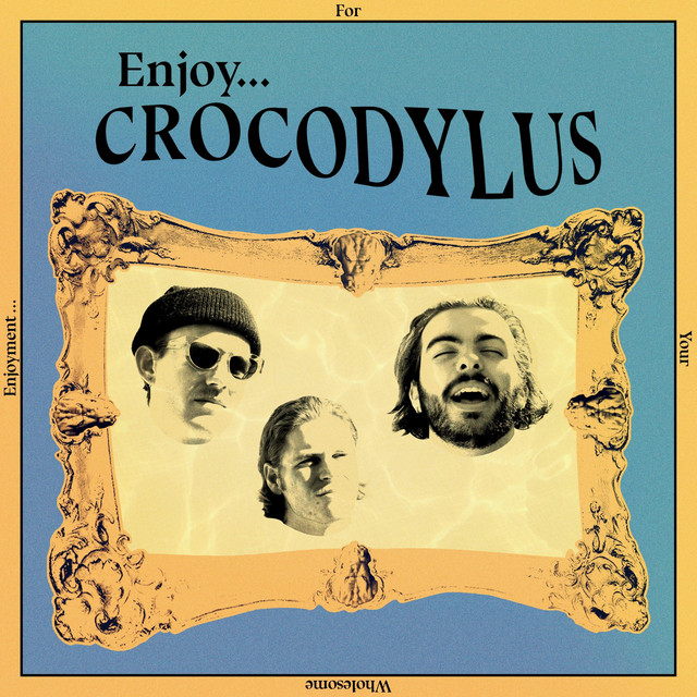 Enjoy cover art