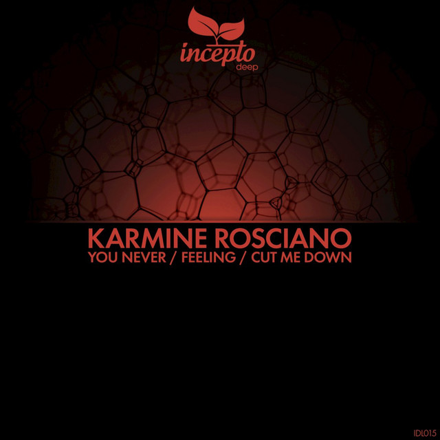 You Never / Feeling / Cut Me Down cover art